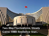 Two-Way Fluctuations, Steady Gains: RMB Resilience Stands Out